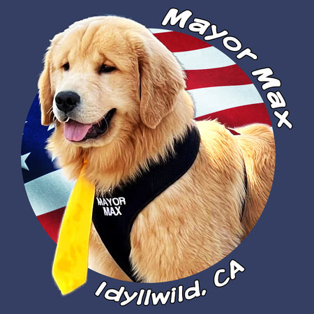 Mayor Max USA Flag Circle - Kids' Unisex Hoodie Sweatshirt