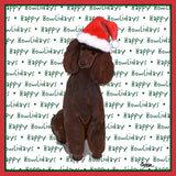 Poodle (Chocolate) Happy Howlidays Text - Adult Unisex T-Shirt