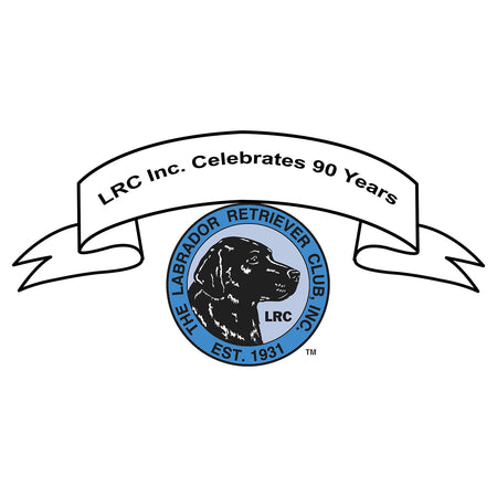 LRC 90 Year Anniversary - Women's V-Neck T-Shirt