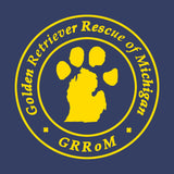 Golden Retriever Rescue of Michigan Logo - Left Chest - Kids' Unisex Hoodie Sweatshirt
