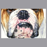 Bulldog Face - Adult Adjustable Face Mask