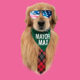 Sunglasses Mayor Max - Women's Tri-Blend T-Shirt