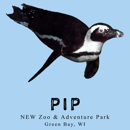 Pip the Penguin - Adult Unisex T-Shirt