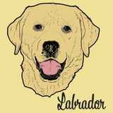 Yellow Labrador Headshot - Adult Unisex T-Shirt