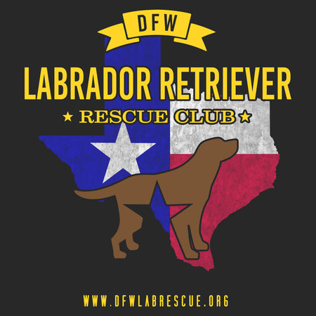 DFW LRRC Texas Flag Chocolate Lab Logo - Adult Unisex Hoodie Sweatshirt