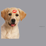 Yellow Lab Kiss - Adult Adjustable Face Mask