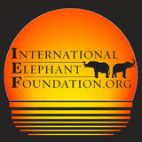 IEF Sunset Logo - Women's Tri-Blend T-Shirt