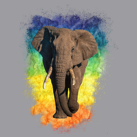 Elephant Rainbow - Adult Unisex T-Shirt