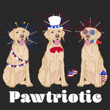 4th of July Lineup Yellow Lab - Adult Tri-Blend T-Shirt