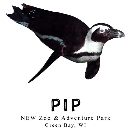Pip the Penguin - Kids' Unisex T-Shirt