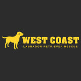 Gold WCLRR Logo - Adult Unisex Hoodie Sweatshirt