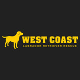 Gold WCLRR Logo - Women's V-Neck T-Shirt