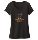 DFW Lab Rescue Logo - Women's V-Neck T-Shirt