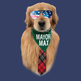 Sunglasses Mayor Max - Adult Unisex Hoodie Sweatshirt
