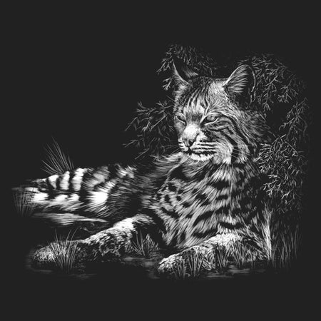 Bobcat Resting on Black - Kids' Unisex T-Shirt