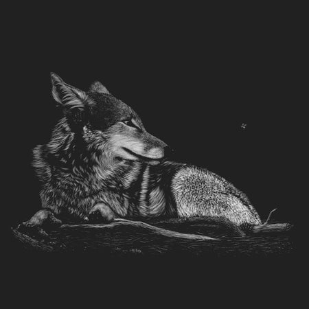 Coyote on Black - Kids' Unisex T-Shirt