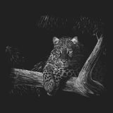 Leopard on Black - Adult Unisex T-Shirt