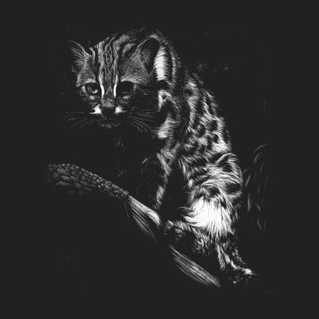 Leopardcat on Black - Adult Unisex T-Shirt